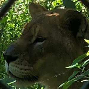 Meet your Posher, Denise